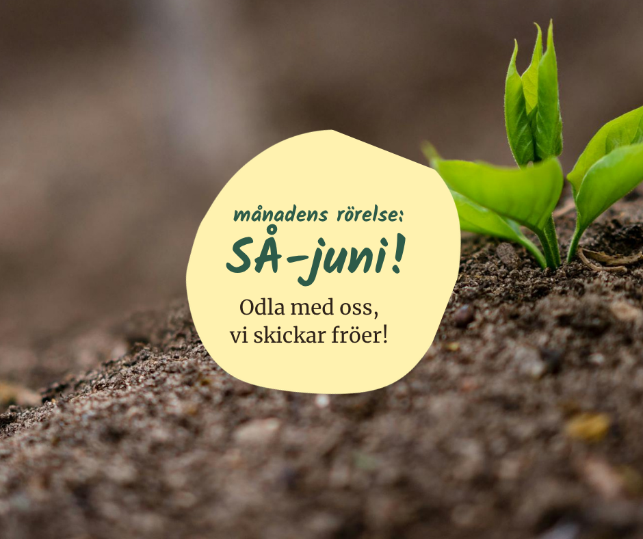 Närbild av ett grönt skott som skjuter upp ur brun jord, med bildtexten Månadens rörelse, odla med oss, vi skickar fröer